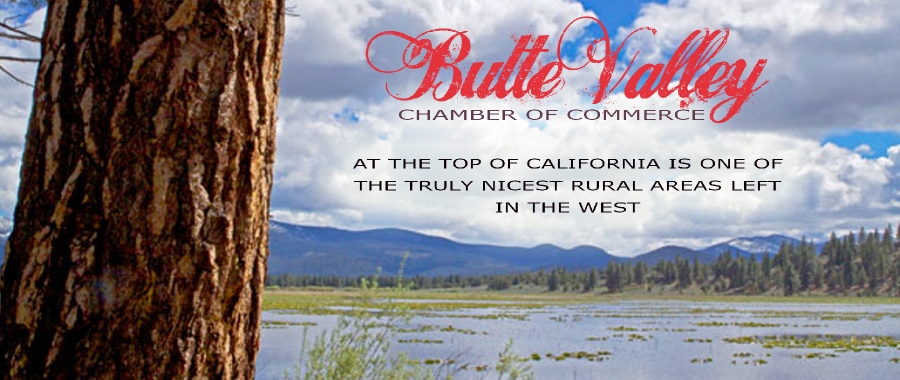 ButteValleylogo