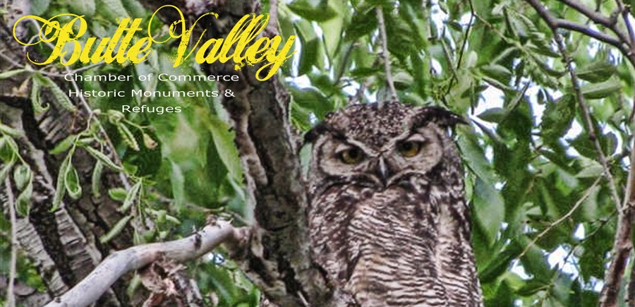 ButteValleyHistoricMonumentsRefuges