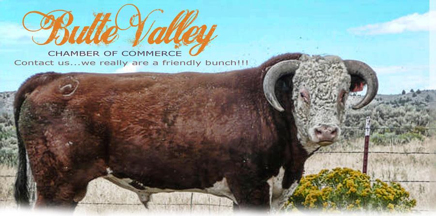 ButteValleyMastheadContactUs